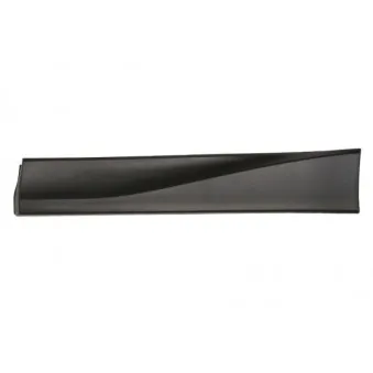 Baguette et bande protectrice, porte arrière gauche BLIC