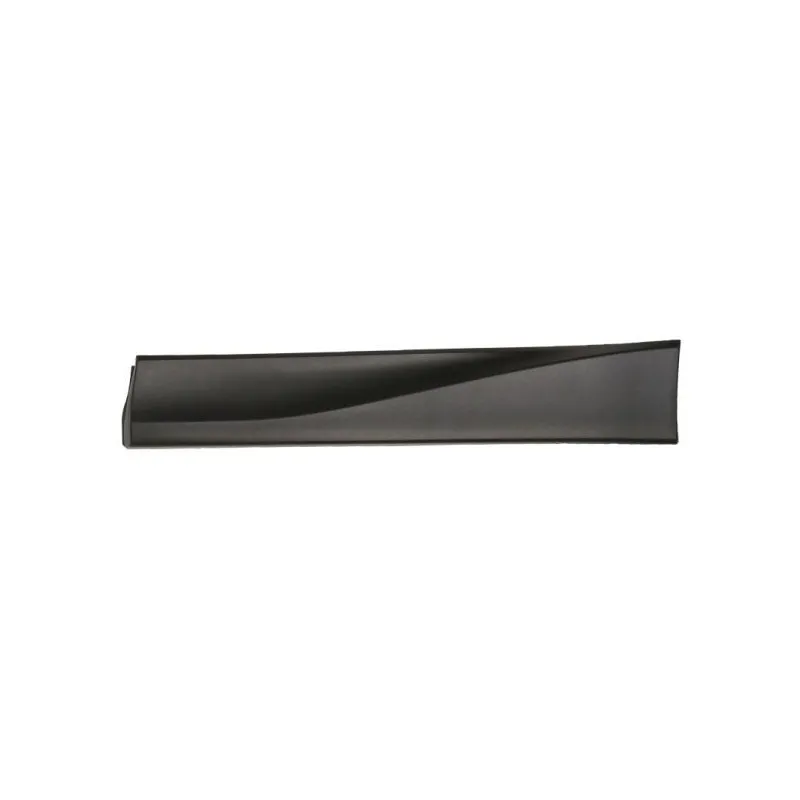 Baguette et bande protectrice, porte arrière gauche BLIC 5703-02-6738493P