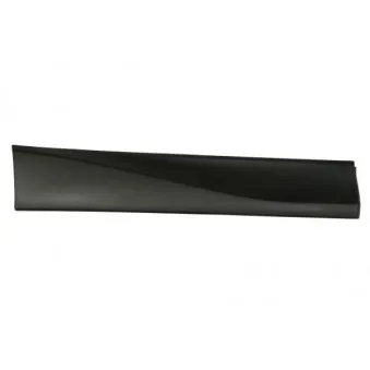Baguette et bande protectrice, porte arrière droit BLIC 5703-02-6738494P