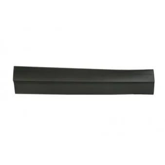 Baguette et bande protectrice, porte avant gauche BLIC 5703-02-9588971P