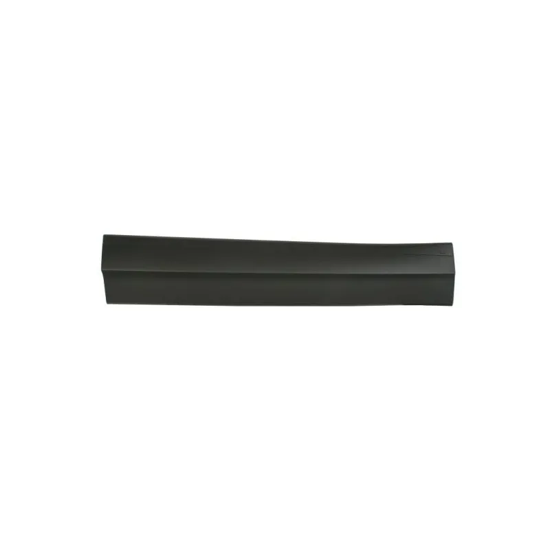 Baguette et bande protectrice, porte avant gauche BLIC 5703-02-9588971P