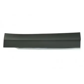 Baguette et bande protectrice, porte avant droit BLIC 5703-02-9588972P