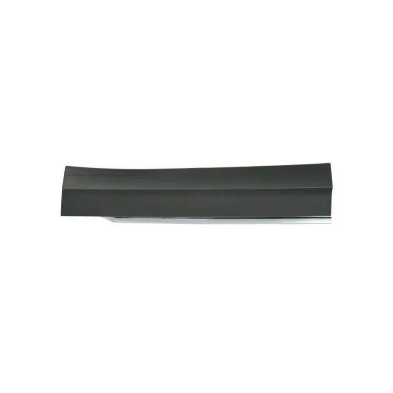 Baguette et bande protectrice, porte avant droit BLIC 5703-02-9588972P