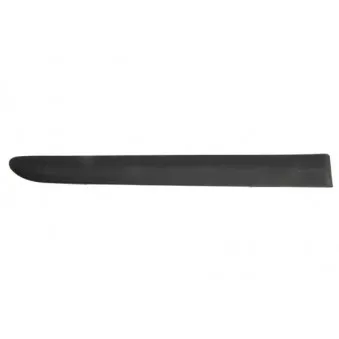 Baguette et bande protectrice, aile arrière droit BLIC 5703-04-2532574P