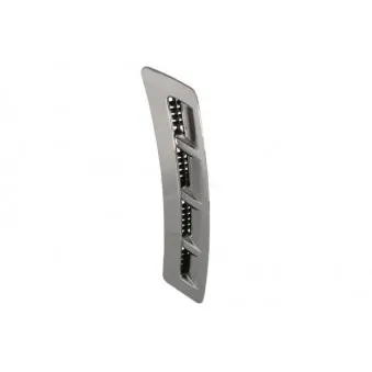 Baguette et bande protectrice, aile avant gauche BLIC 5703-04-9802421P