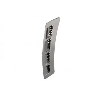 Baguette et bande protectrice, aile avant droit BLIC 5703-04-9802422P