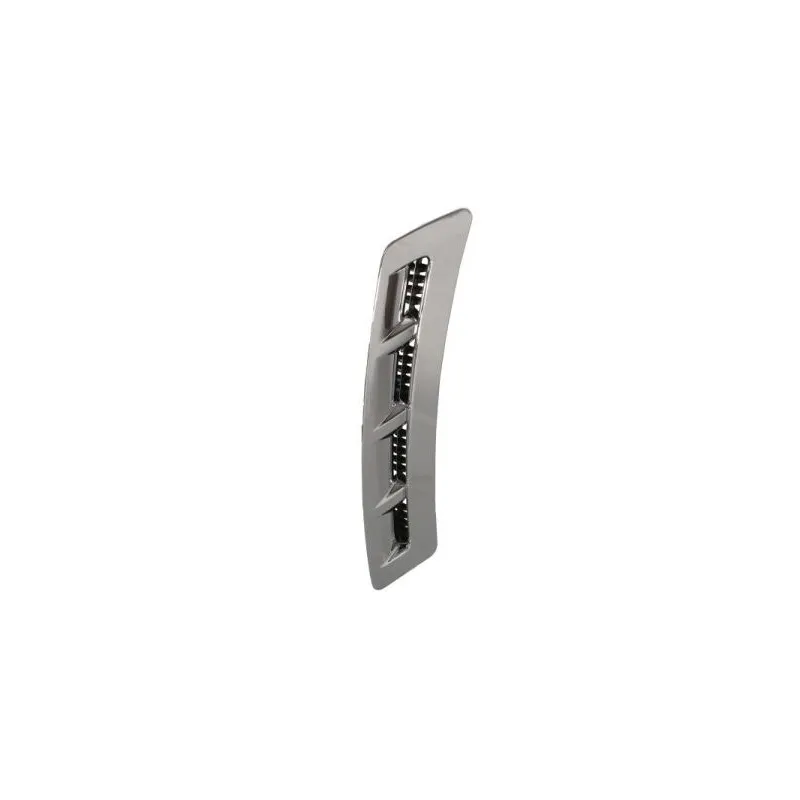 Baguette et bande protectrice, aile avant droit BLIC 5703-04-9802422P