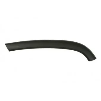 Baguette et bande protectrice, porte arrière gauche BLIC 5703-08-3206373P