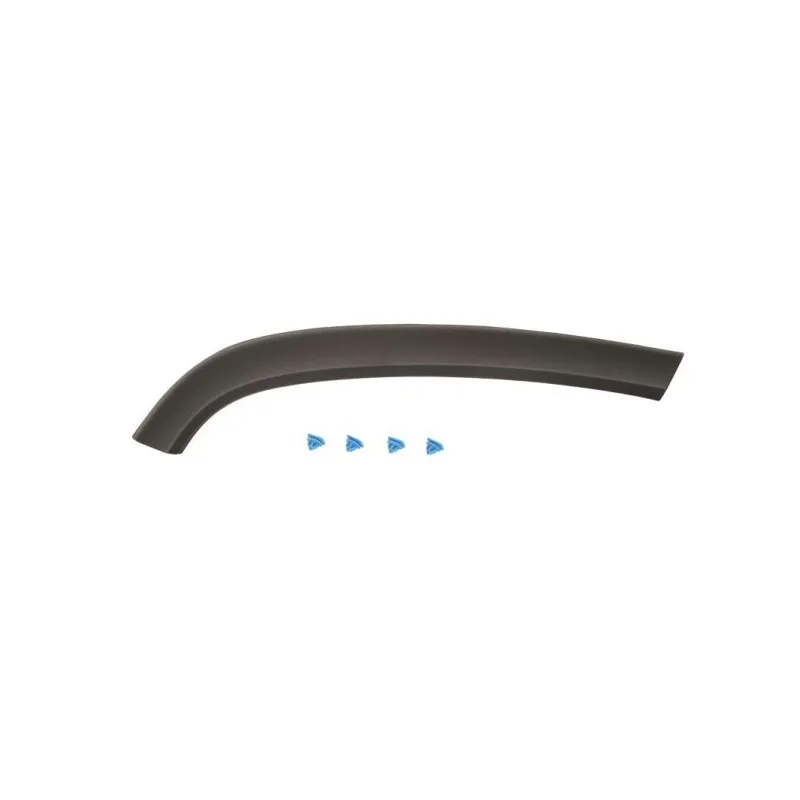 Baguette et bande protectrice, porte arrière droit BLIC 5703-08-3206374P