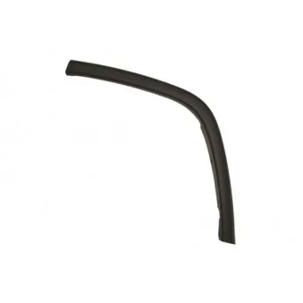 Baguette et bande protectrice, porte arrière gauche BLIC 5703-08-3206375P