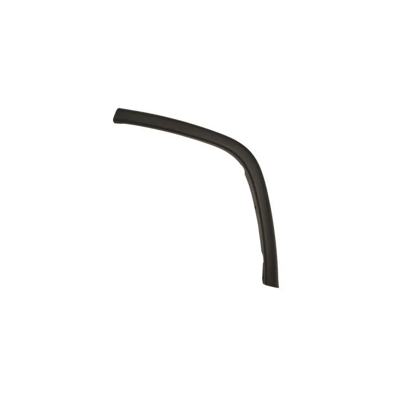 Baguette et bande protectrice, porte arrière gauche BLIC 5703-08-3206375P