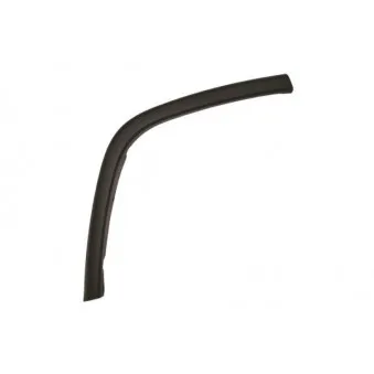 Baguette et bande protectrice, porte arrière droit BLIC 5703-08-3206376P