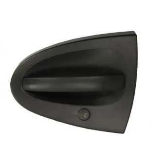 Poignée de porte BLIC 6010-02-004401P