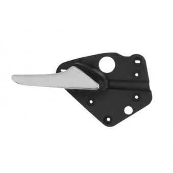 Poignet de porte, équipment intérieur avant droit BLIC 6010-02-037408PP