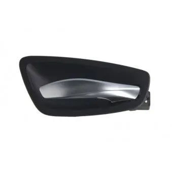 Poignet de porte, équipment intérieur avant droit BLIC 6010-05-020408P