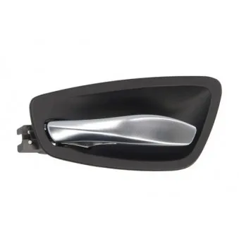 Poignet de porte, équipment intérieur avant gauche BLIC 6010-05-020409P