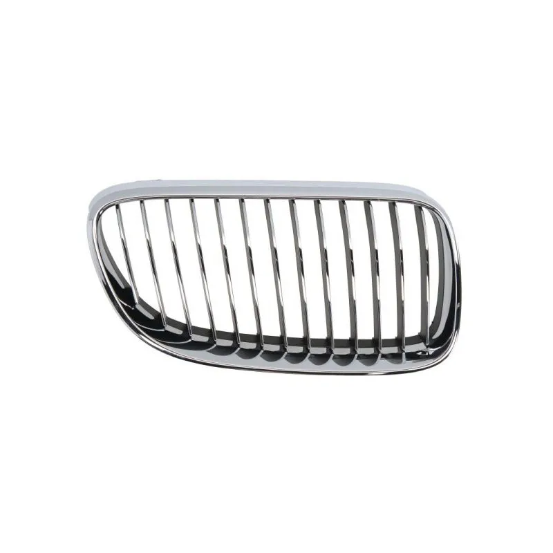 Grille de radiateur avant droit BLIC 6502-07-00629916PP