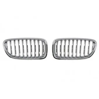 Grille de radiateur BLIC 6502-07-0067997BP