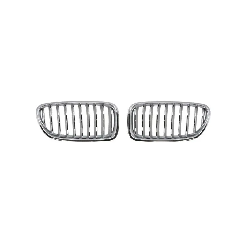 Grille de radiateur BLIC 6502-07-0067997BP