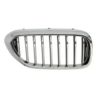 Grille de radiateur avant droit BLIC 6502-07-0068994P