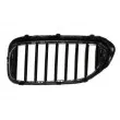 Grille de radiateur avant droit BLIC 6502-07-0068994P - Visuel 2