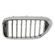 Grille de radiateur BLIC 6502-07-0068995P - Visuel 1