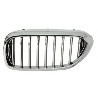 Grille de radiateur BLIC 6502-07-0068995P