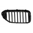 Grille de radiateur BLIC 6502-07-0068995P - Visuel 2