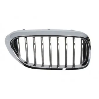 Grille de radiateur BLIC 6502-07-0068996P