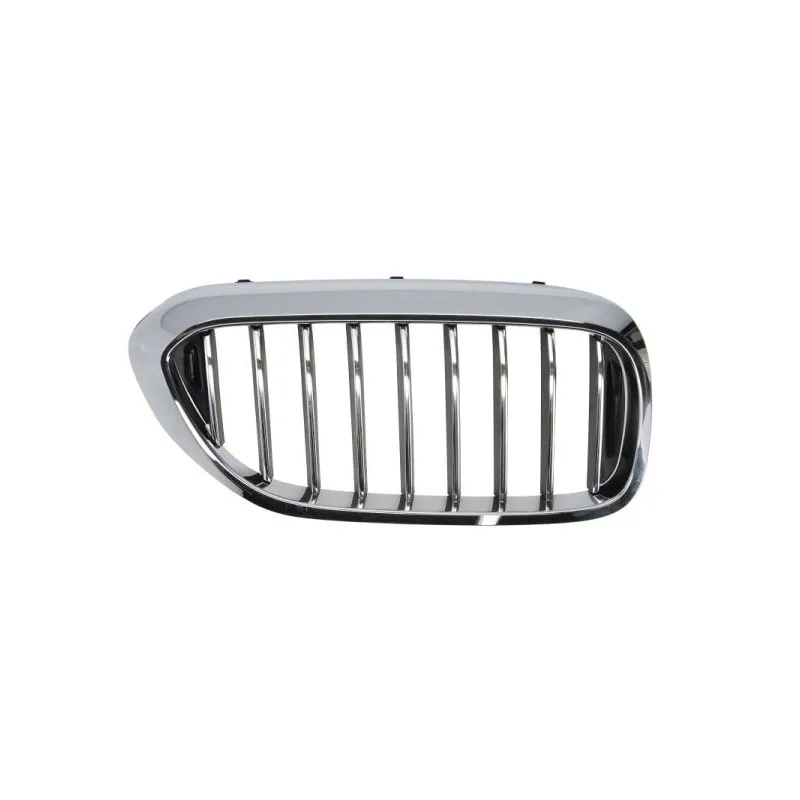 Grille de radiateur BLIC 6502-07-0068996P