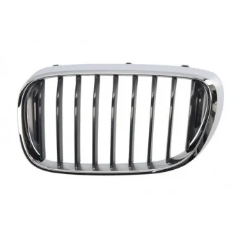 Grille de radiateur avant gauche BLIC 6502-07-0078991P