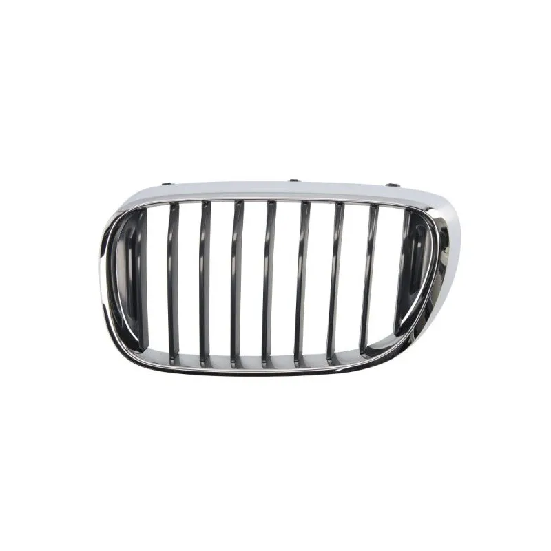 Grille de radiateur avant gauche BLIC 6502-07-0078991P
