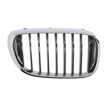 Grille de radiateur avant droit BLIC 6502-07-0078992P