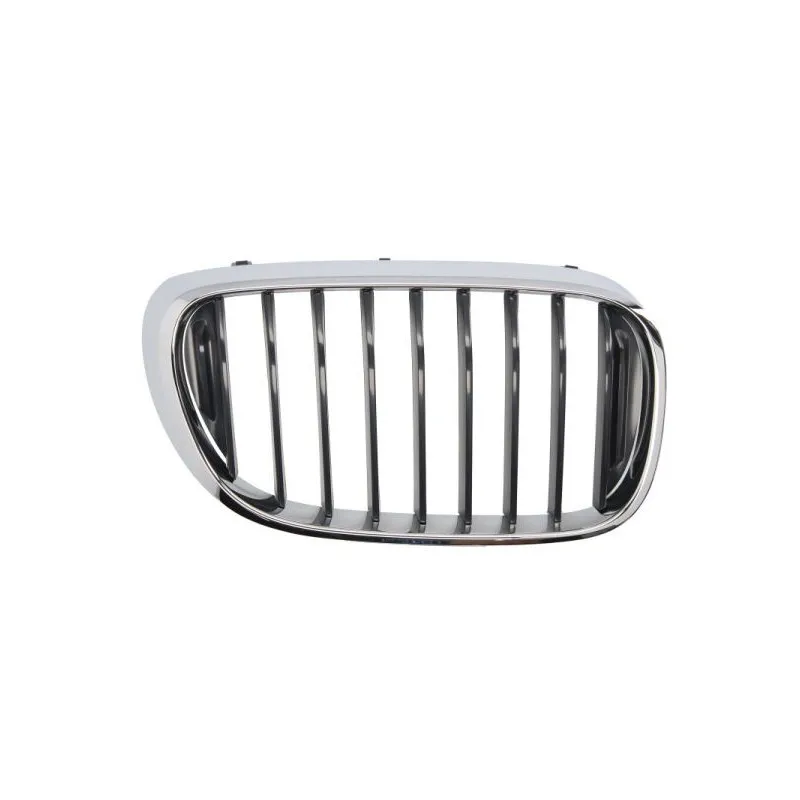 Grille de radiateur avant droit BLIC 6502-07-0078992P