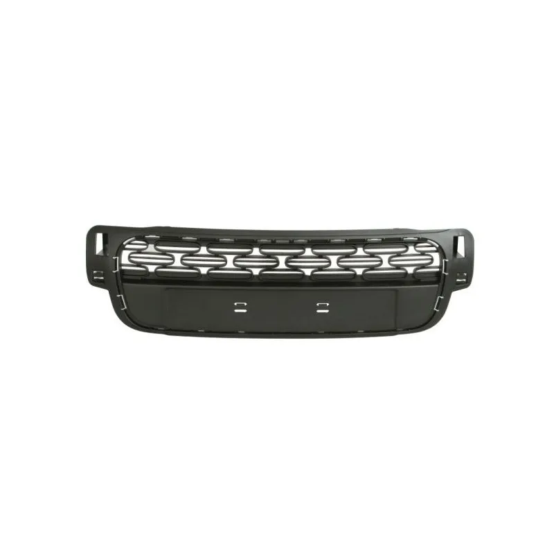 Grille de radiateur BLIC 6502-07-0532991P