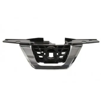 Grille de radiateur BLIC 6502-07-1601994P