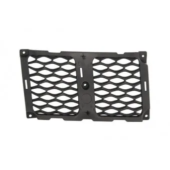Grille de radiateur avant droit BLIC 6502-07-3207994P