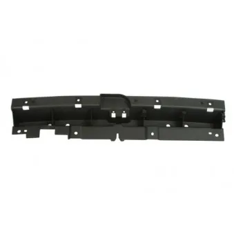 Support, grille de radiateur BLIC 6502-07-3216995P
