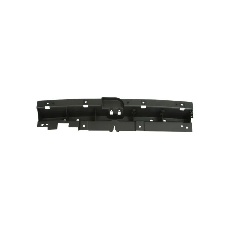 Support, grille de radiateur BLIC 6502-07-3216995P