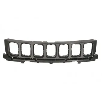 Grille de radiateur BLIC 6502-07-3217991P