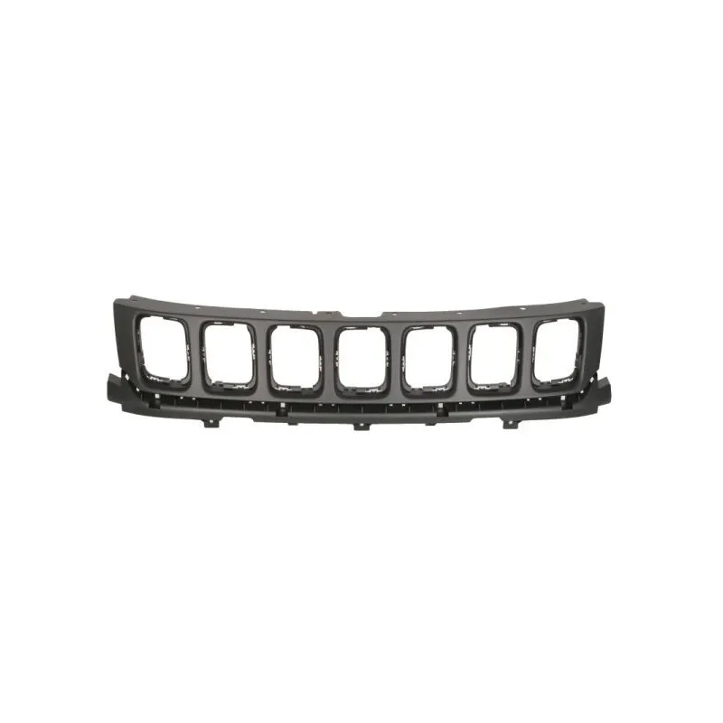 Grille de radiateur BLIC 6502-07-3217991P