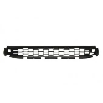 Grille de radiateur BLIC 6502-07-3751993P