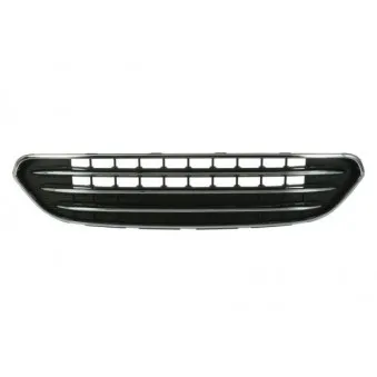 Grille de radiateur BLIC 6502-07-4004990P
