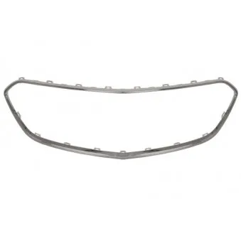 Baguette et bande protectrice, grille de radiateur BLIC 6502-07-5029912P