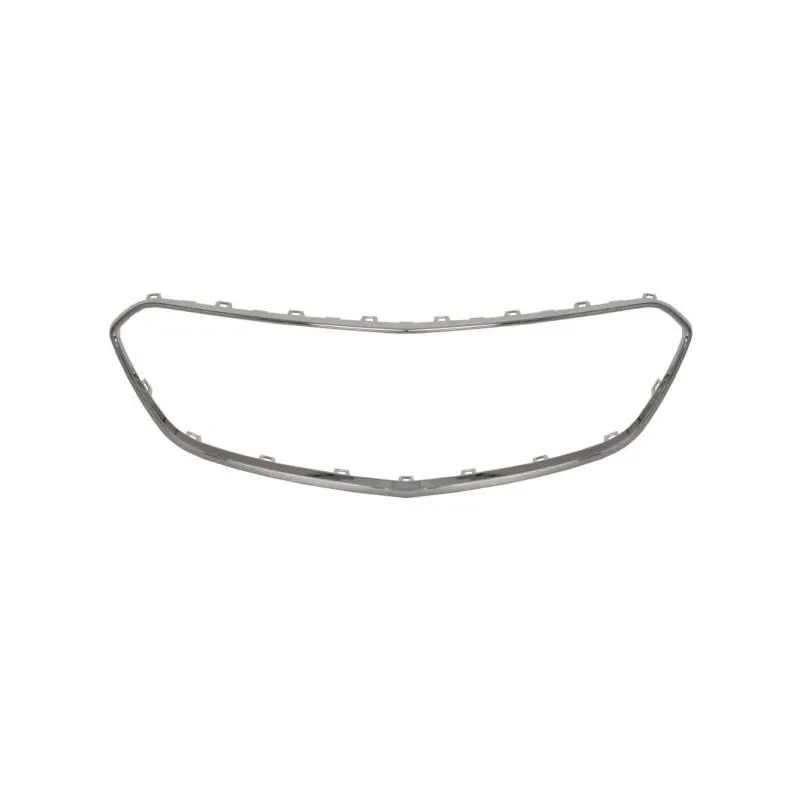 Baguette et bande protectrice, grille de radiateur BLIC 6502-07-5029912P