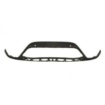 Baguette et bande protectrice, grille de radiateur BLIC 6502-07-5079991P
