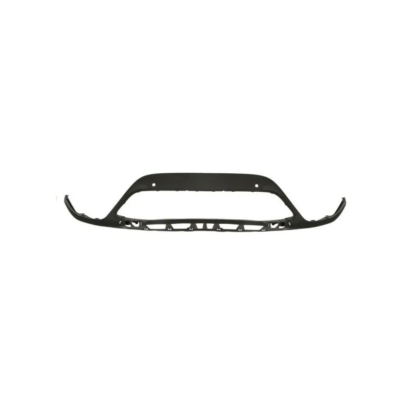 Baguette et bande protectrice, grille de radiateur BLIC 6502-07-5079991P