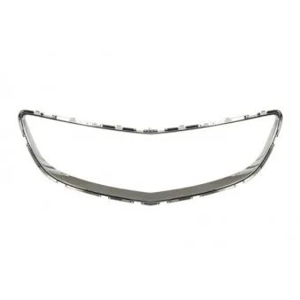 Baguette et bande protectrice, grille de radiateur BLIC 6502-07-5079997P