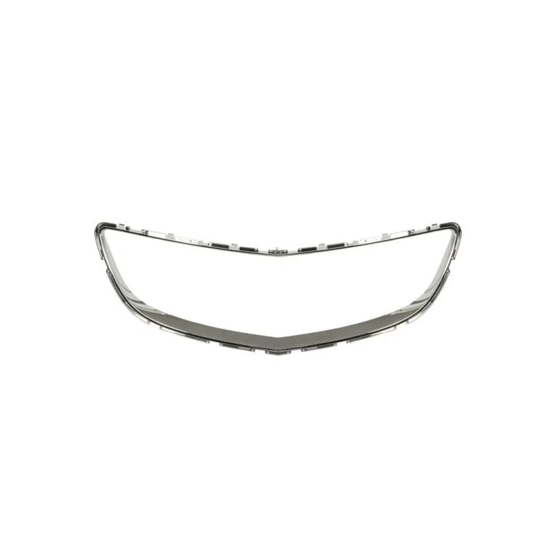 Baguette et bande protectrice, grille de radiateur BLIC 6502-07-5079997P