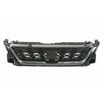 Grille de radiateur BLIC 6502-07-6623991P
